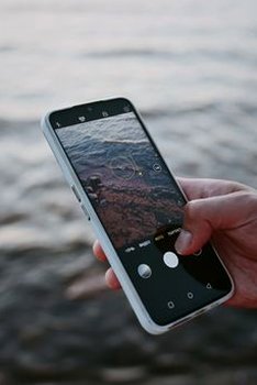 giấy phép F8bet